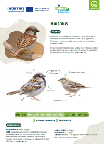 Technische fiche Natuur-inbouw huismus